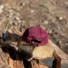 Burgundy cap placed on the wooden block