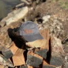 Gray cap front view on the display